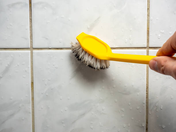 Best Kitchen Mold Remediation in Astor, FL